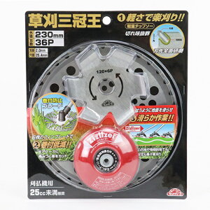 ZteB-3 O 230mm Y @ ֐n  n `bv\[ @ @ u[h TCY p[c i a 25.4mm 36P n 36 ؂ꖡ ǂ؂n G pn pi p O