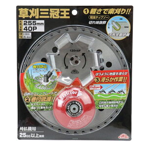 ZteB-3 O 255mm Y @ ֐n  n `bv\[ @ @ u[h TCY p[c i a 25.4mm 40P n 40 ؂ꖡ ǂ؂n G pn pi p O