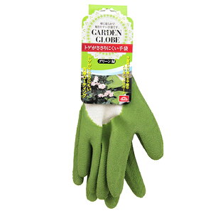 ZteB-3 gQɂ O[ MTCY Y |pi K[f K[fjO w O[u w  \h h~ nh ی S   M _ p 