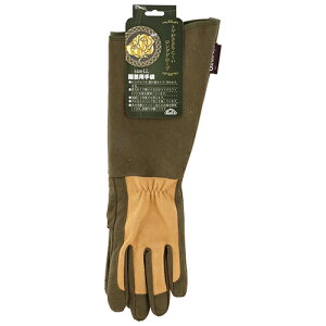 ZteB-3 gQhɂOO[u LLTCY Y |pi K[f K[fjO  w  \h h~ nh ی S    Ԓd    _