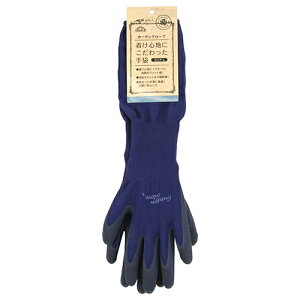 ZteB-3 Snɂ lCr[ O LTCY Y |pi K[f K[fjO w O[u w  \h h~ nh ی S  ƒ؉ Ԓd _ 