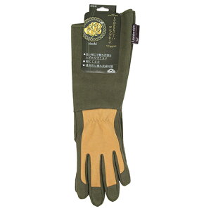 ZteB-3 gQhɂOO[u MTCY Y |pi K[f K[fjO  w  \h h~ nh ی S    Ԓd    _