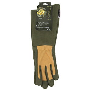 ZteB-3 gQhɂOO[u LTCY Y |pi K[f K[fjO  w  \h h~ nh ی S    Ԓd    _