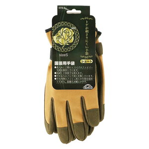 ZteB-3 gQhɂ STCY Y |pi K[f K[fjO O[u w  \h h~ nh ی S    Ԓd    _ p