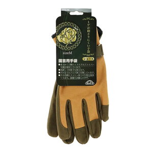 ZteB-3 gQhɂ MTCY Y |pi K[f K[fjO O[u w  \h h~ nh ی S    Ԓd    _ p