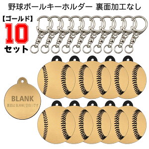 �y10�Z�b�g�z �싅 �{�[�� �L�[�z���_�[ �y�S�[���h�z������Ȃ� �u�����N �� W30mm �A�N�Z�T���[ ���c ���� �L�O�i