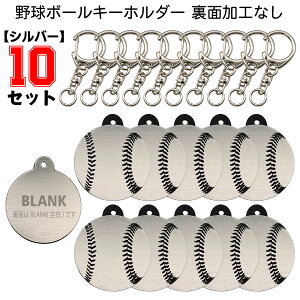 �y10�Z�b�g�z �싅 �{�[�� �L�[�z���_�[ �y�V���o�[�z������Ȃ� �u�����N �� W30mm �A�N�Z�T���[ ���c ���� �L�O�i