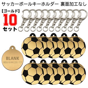 �y10�Z�b�g�z �T�b�J�[ �{�[�� �L�[�z���_�[ �y�S�[���h�z������Ȃ� �u�����N �� W30mm �A�N�Z�T���[ ���c ���� �L�O�i