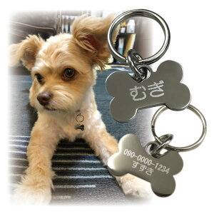 qD XeX ^ O  킢y{[ ^z