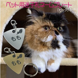 qD v[g dbԍ ^ L O AN Vo[ S[h sbN