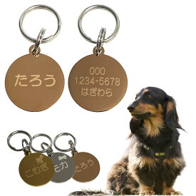 ペット ステンレス 迷子札 丸型 サークル【タイプB】ペットのお名前 飼い主様のお名前 電話番号 刻印 カラー 3色 小型犬 猫 金属 かわいい 名前 電話番号 おしゃれ ドッグタグ ネームタグ