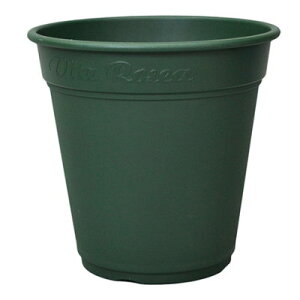 v [A|bg 450^ O[ 44.7×42.3cmyAbvEFA[  vX`bN 4905980139046z