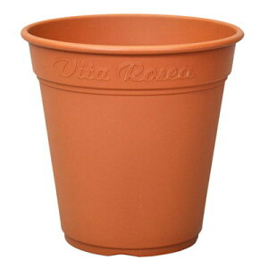 v [A|bg 450^ uE 44.7×42.3cmyAbvEFA[  vX`bN 4905980139138z