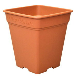 v [AXNGA 390^ uE 38.7×38.7×42cmyAbvEFA[ p Xbg vX`bN4905980312234z