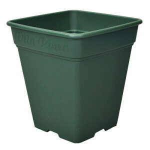 v [AXNGA 330^ O[ 33×33×36cmyAbvEFA[ p Xbg vX`bN4905980312142z