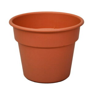 v AP|bg 5 eRb^ 14.3×11.5cmyAbvEFA[ Aؔ  vX`bN4905980367135z