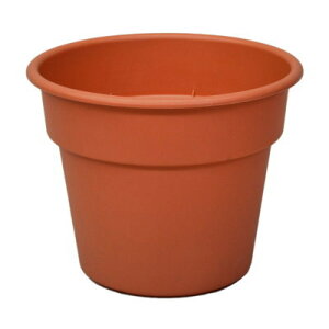 v AP|bg 6 eRb^ 17.1×13.6cmyAbvEFA[ Aؔ  vX`bN4905980391130z