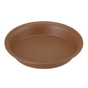 M M 10  31.7×4.6cmyAbvEFA[ M 4905980410879z