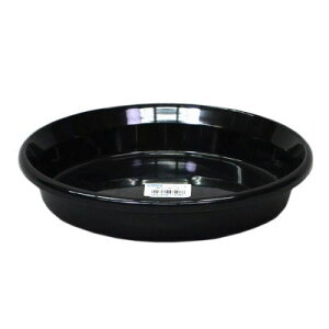 MF^ 8 ubN 24×3.9cmyAbvEFA[ M 4905980475083z