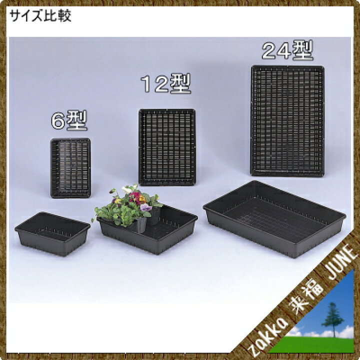 楽天市場】育苗コンテナ 24型 ブラック 51.4×34.8×7.7cm【アップル 