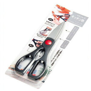 GR[ XeX Lb`x[VbNy͂ GR[ 4991203147325z