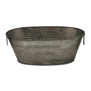 Ԋ 2g n[gtK[fuL|bg 4x2 2364-ByKEI P[EC[EAC 4530254047477z