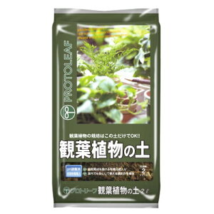 py ϗtA̓y 2Lyvg[t 4535885003021z