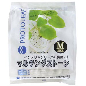 py vg[t }`OXg[M 1kgyvg[t 4535885057123z