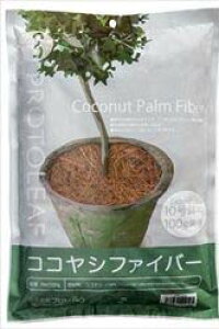 py RRVt@Co[ i` 100gyvg[t }`O 4535885112105z