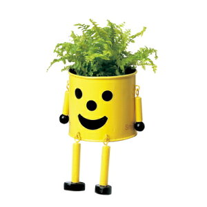 Ԋ uL}|bgM CG[ 3 2786-B-Y 2gyKEI P[EC[EAC  4530254063910z