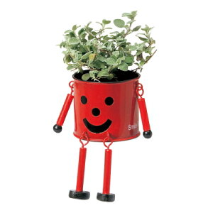 Ԋ uL}|bgS bh 2 2786-C-RD 4gyKEI P[EC[EAC  4530254063965z