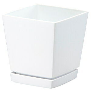 v NG`[|bg(v[gt) 5 zCg Mt 10gyav }gvX`bN pM 4903266721633z