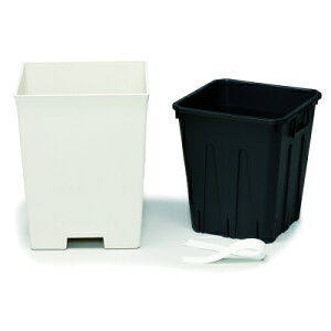 ʋ NACi[Zbg 310^ AC{[yav }gvX`bN }gvz