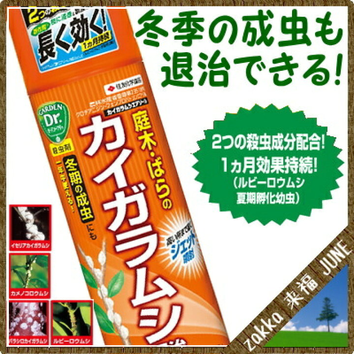 楽天市場 殺虫剤 カイガラムシエアゾール 480ml 住友化学園芸 Zakka来福june