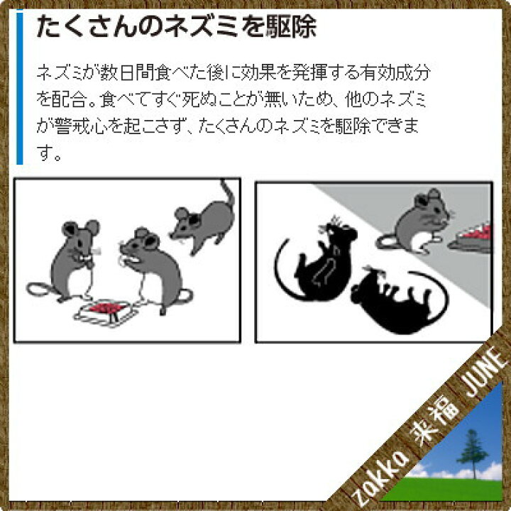 22春夏新色 医薬部外品 アース製薬 ねずみ駆除剤 30g
