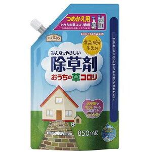  A[XK[f ̑R 850mL ߂pyA[X 4901080297013z