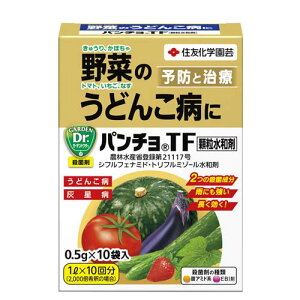 Eۍ p`TFa (0.5g×10)yZFw| 4975292603344z