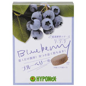 �엿 �n�C�|�l�b�N�X���ܔ엿 �u���[�x���[�p 30��(10��×3)�y�n�C�|�l�b�N�X ���ܔ엿 4977517148012�z