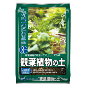 py ϗtA̓y 5Lyvg[t 4535885003052z