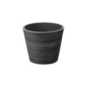 �v���� �{�^�j�[ �~�f�B�|�b�g 12�^ �_�[�N�O���[(DG) 12×H10cm�y���b�`�F�� �v���X�`�b�N�� 4945680702133�z