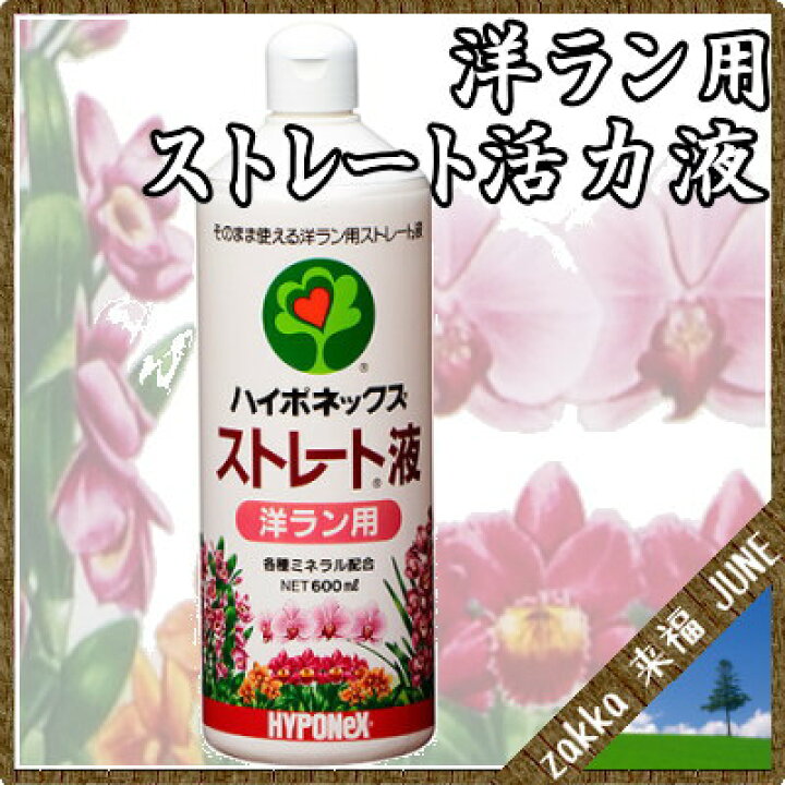 174円 日本初の ハイポネックス ストレート 液肥 洋ラン用 600ml 174円 日本初の ハイポネックス ストレート 液肥 洋ラン用 600ml