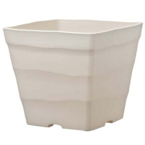 v NtgXNGA 25^ zCgyAbvEFA[ p vX`bN 4905980140066z