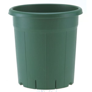 v o 10 O[ 31×32cmyAbvEFA[ [Y|bg p X|bg@\ 4905980310377z