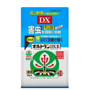 E IgDX 1kgyZFw| 4975292601630z