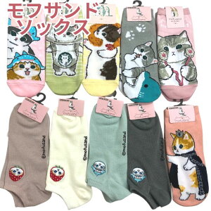 yz tTh fB[X \bNX ȍ 킢 C 23~25cm V[g Ԃ Xj[J[\bNX  I[V[Y wlC ʋ ʊw w w Z eB