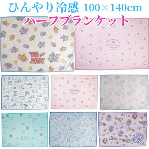 yz LN^[ Ђ n[tuPbg ⊴ uPbg 100×140cm n[tTCY ڐG⊴  n[tPbg N[Pbg ^IPbg tp ėp Q  킢 