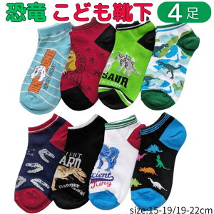 y4 1000~|bL z LbY \bNX  C q j̎q ̎q Ԃ V[g Xj[J[ ʉ ʊw v[g w c  􂢑ւ Ⴂ Zbg J