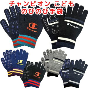 yz `sI ̂т̂  LbY WjA q j̎q X|[c uh ~ Lт 5{w O[u ~ h ʊw  w wN wN ΍ Vv 