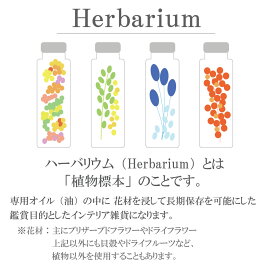 ハーバリウムとは?