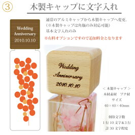木製キャップ